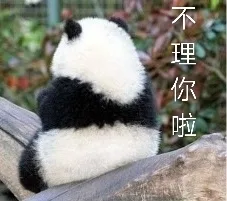 不理你啦