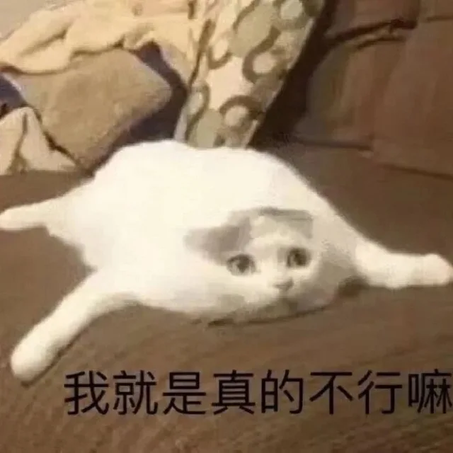 我就是真的不行嘛（我就是真的不行嘛）
