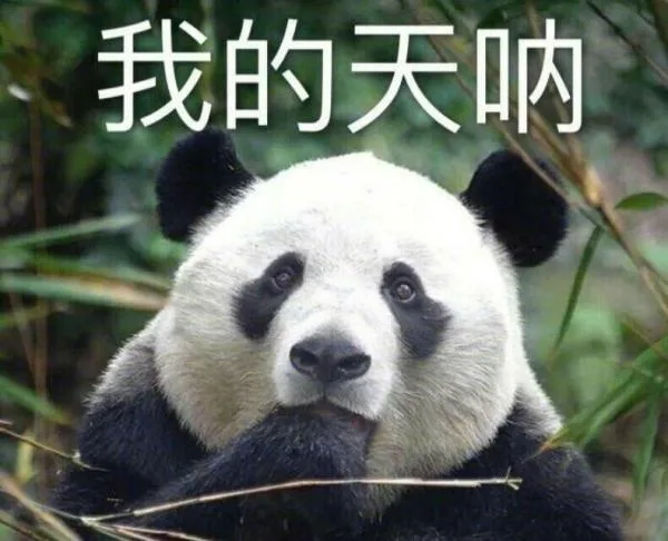 我的天呐