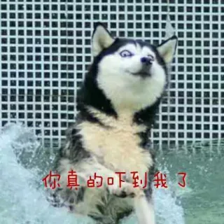 你真的吓到我了