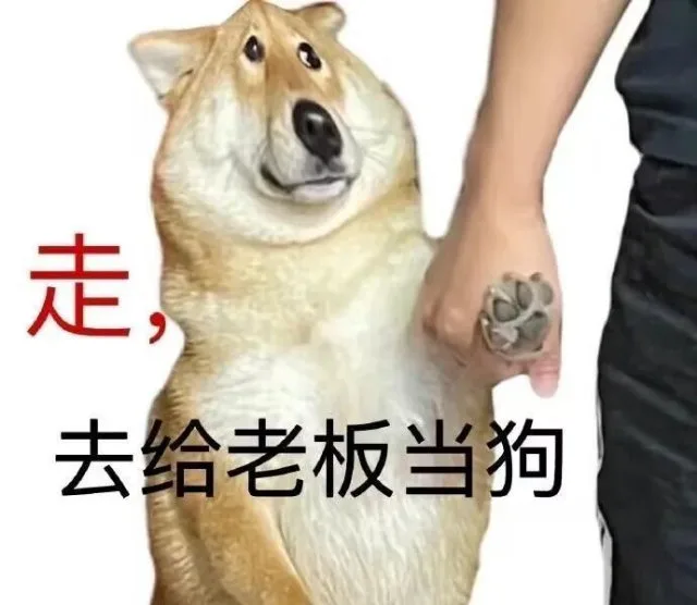 走，去给老板当狗（走，去给老板当狗）