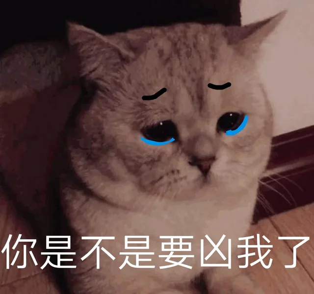 喵星人汪星人委屈