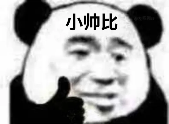 小帅比（熊猫头表情包）