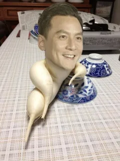 销魂的萝卜