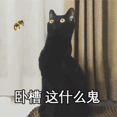 卧槽，这是什么鬼（卧槽，这是什么鬼）