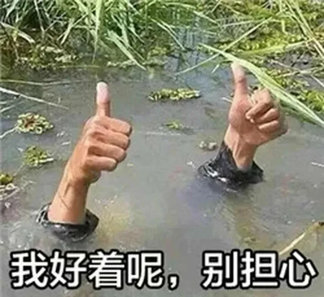 我好着呢，别担心（我好着呢，别担心）