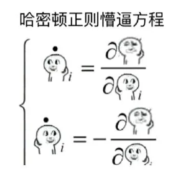 哈密顿正则懵逼方程