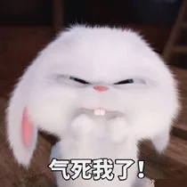 气死我了（气死我了）