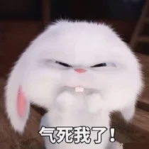 气死我了