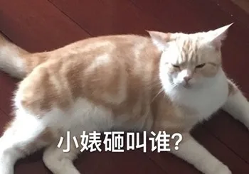小婊砸叫谁?（小婊砸叫谁?）