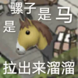 子是马是拉出来溜溜