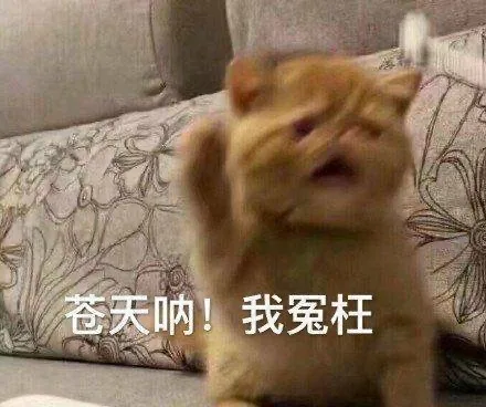 天呐!我冤枉（天呐!我冤枉）