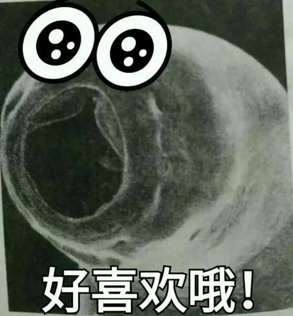 好喜欢哦（好喜欢哦）