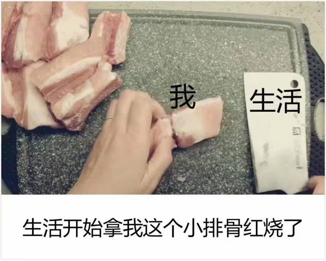 生活开始拿我这个小排骨红烧了（生活开始拿我这个小排骨红烧了）