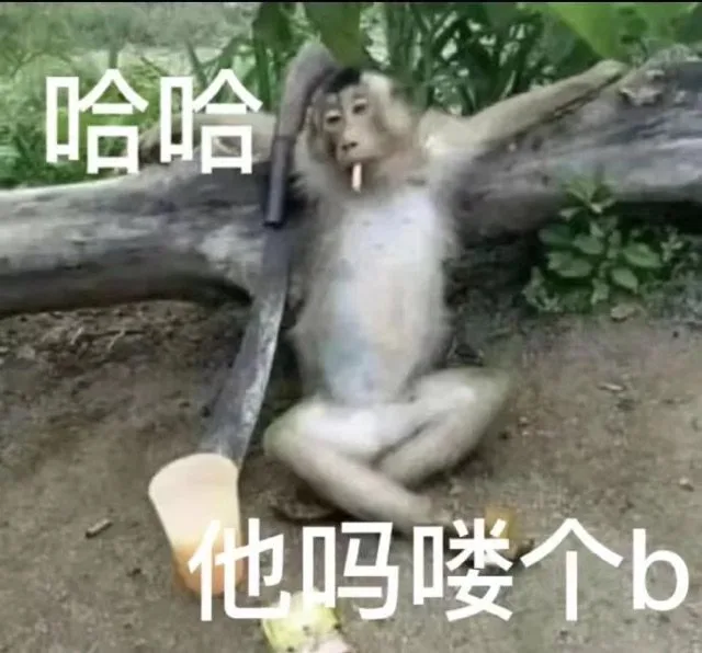 哈哈他吗喽个b(吗喽表情包)（哈哈他吗喽个b(吗喽表情包)）