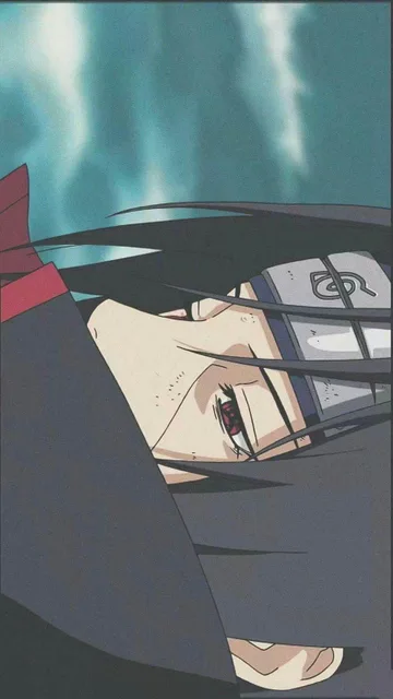 手机壁纸