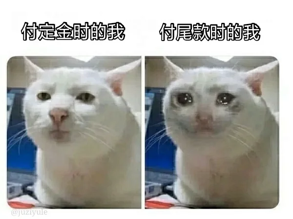 付定金时的我付尾款时的我@ juziyule