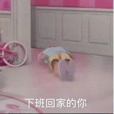下班回家的你（下班回家的你）