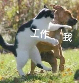 工作 VS 我（工作 VS 我）