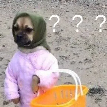 22?14(狗狗问号表情包)（22?14(狗狗问号表情包)）