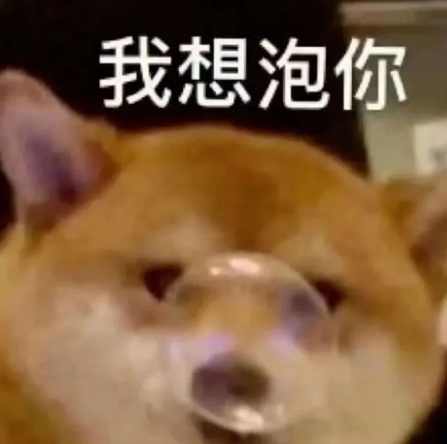 我想泡你（我想泡你）