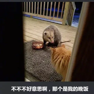 不好意思啊，那个是我的晚饭