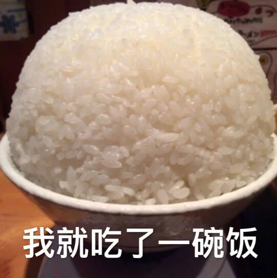 我就吃了一碗饭（超大碗米饭）
