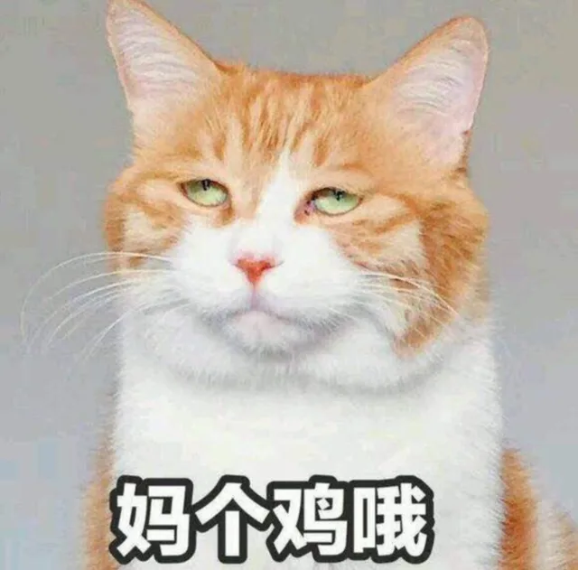 妈个鸡哦（妈个鸡哦）