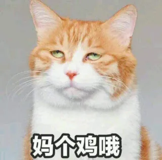 妈个鸡哦