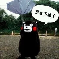 是在下输了（是在下输了）