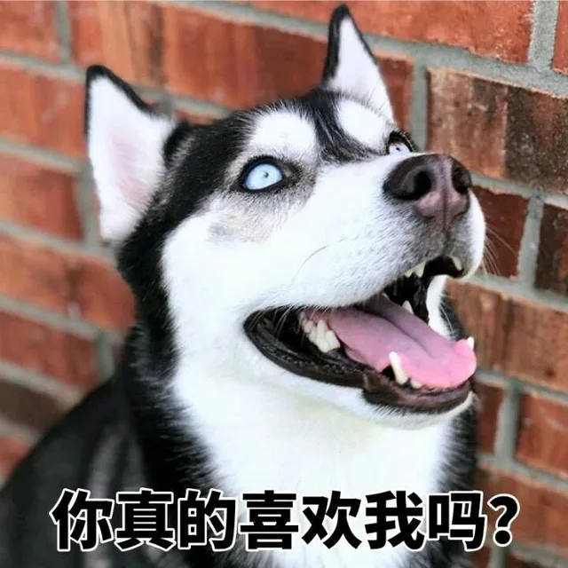 你真的喜欢我吗