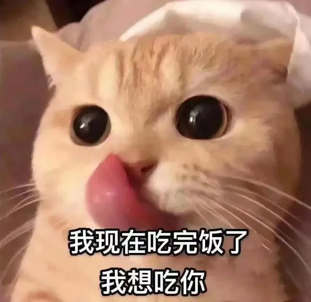 我现在吃完饭了 我想吃你