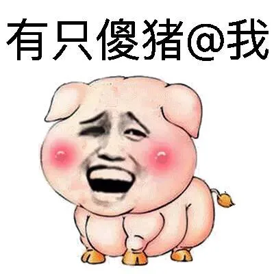有只傻猪@我（有只傻猪@我）