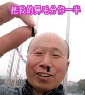 把我的鼻毛分你一半(圣主雄鹰高飞大师)（把我的鼻毛分你一半(圣主雄鹰高飞大师)）