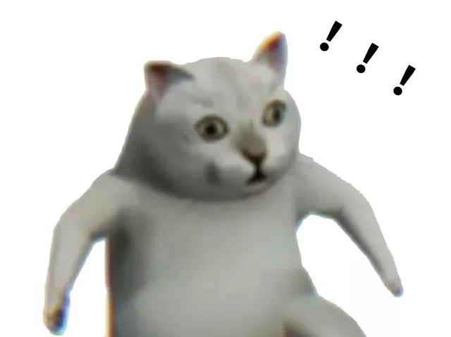 憨憨猫惊呆
