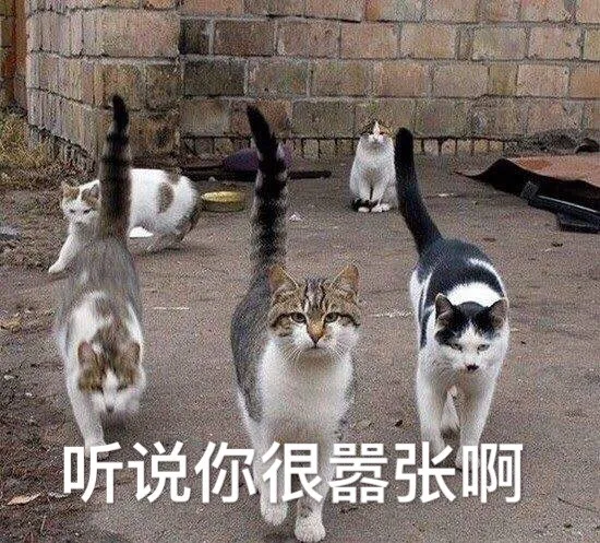 听说你很嚣张啊