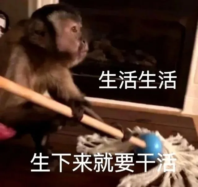 生活生活生下来就要干活（生活生活生下来就要干活）