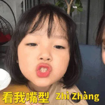 看我嘴型 zhizhang（智障）（看我嘴型 zhizhang（智障））