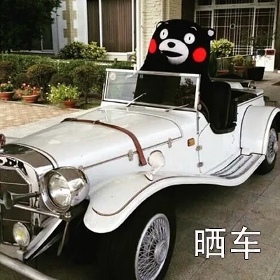 晒车