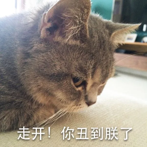 警察蜀黍就是他（喵星人）_喵星人_可爱表情包