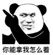 你能拿我怎么着（你能拿我怎么着）