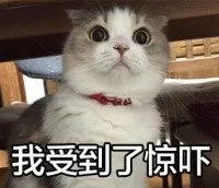 我受到了惊吓（我受到了惊吓）