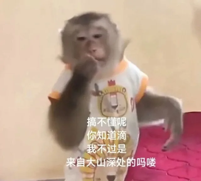 搞不懂呢你知道滴我不过是来自大山深处的吗喽（搞不懂呢你知道滴我不过是来自大山深处的吗喽）