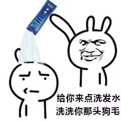 给你来点洗发水洗洗你那头狗毛