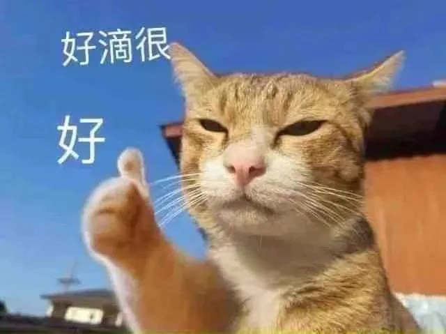 好滴很好(猫猫表情包)（好滴很好(猫猫表情包)）