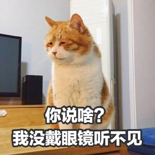 你说啥？我没戴眼镜听不见（你说啥？我没戴眼镜听不见）