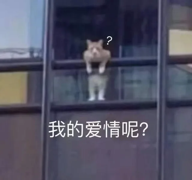 我的爱情呢?