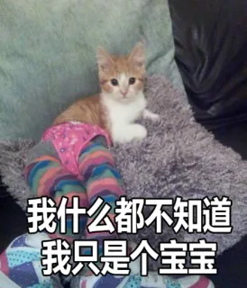 我什么都不知道，我只是个宝宝