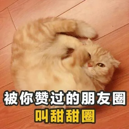 被你赞过的朋友圈叫甜甜圈（被你赞过的朋友圈叫甜甜圈）