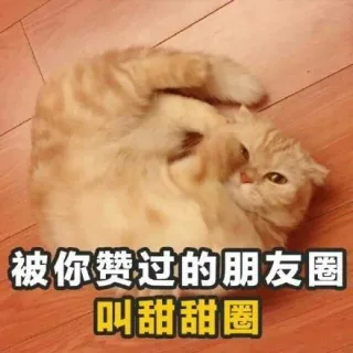 被你赞过的朋友圈叫甜甜圈